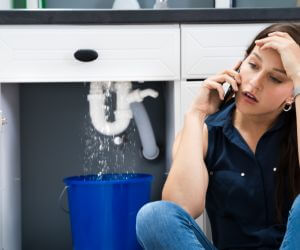 About Plumbers Pros Wheatland, MO